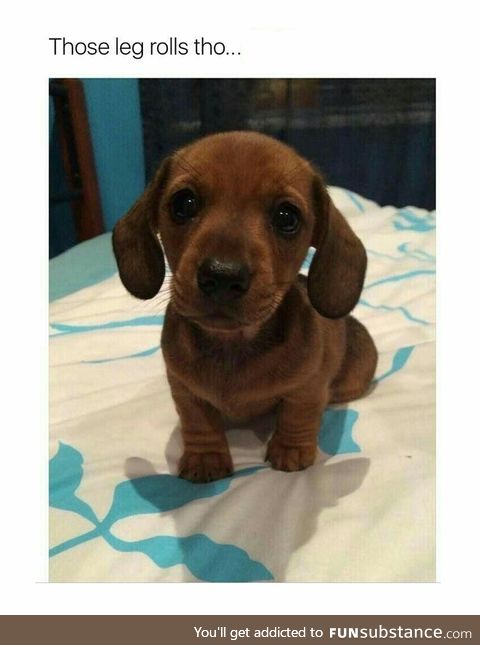 Such a cutie patootie