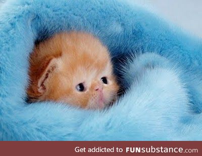 It's so fuzzeh...