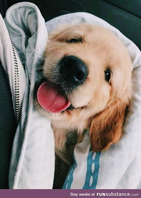 Here's some cuteness