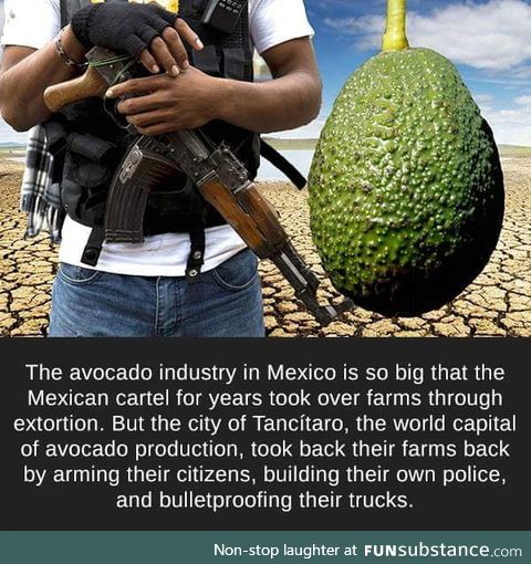 Avocado for the people