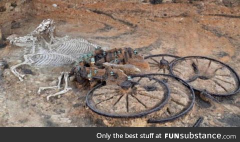 Near complete remains of an Iron Age horse drawn chariot found in England