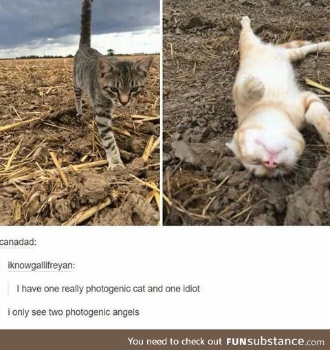 Cute beans