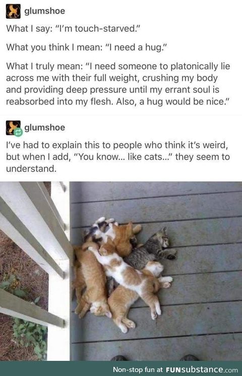 Like cats