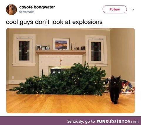 What a badass