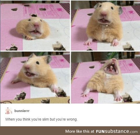 Same