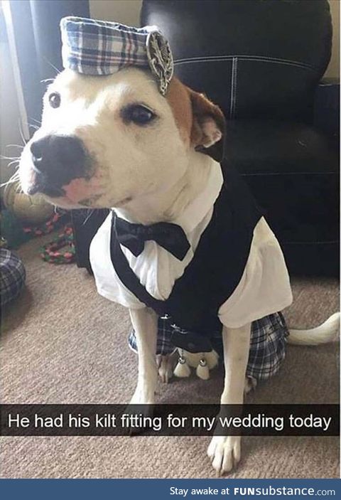 Good lad