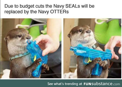 That's otter-ly insane