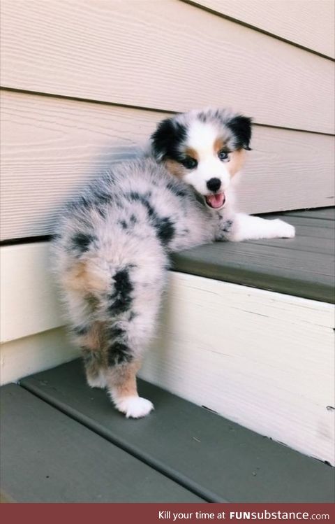 Fluffy