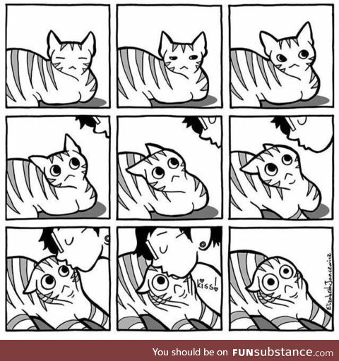 Every damn time