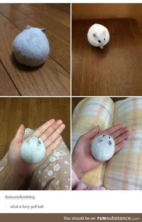So round