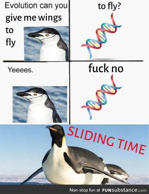 Damn it