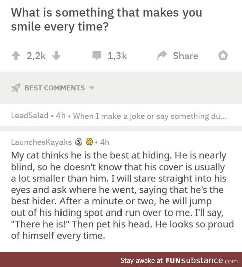 Wholesome cat owner
