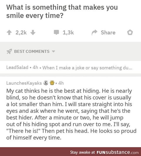 Wholesome cat owner