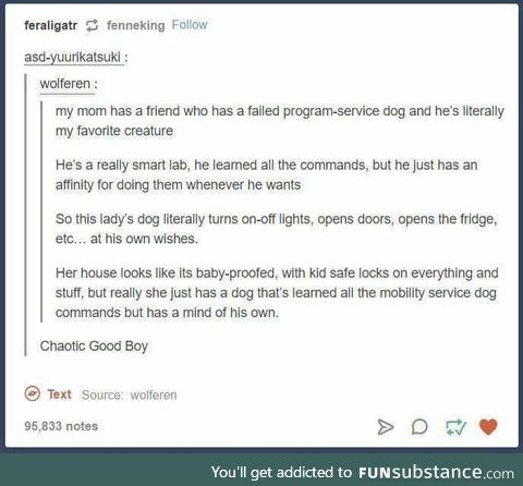 Doggos