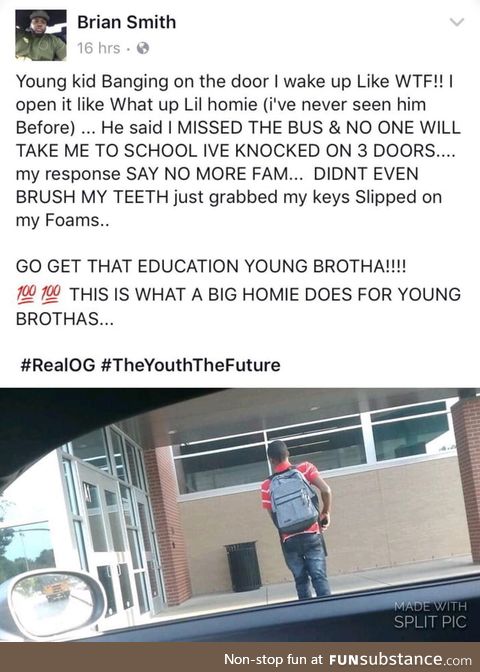 Wholesome brian