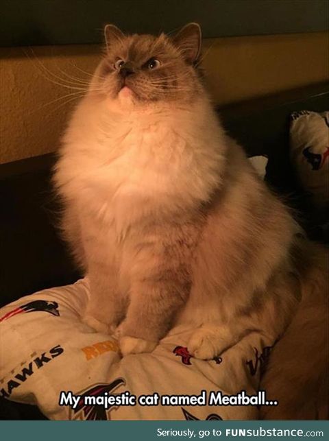 Meatball seems very soft