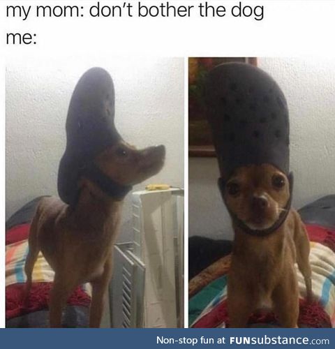 Look at the top of his head