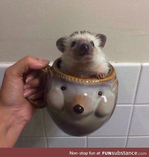 Someone spiked coffee