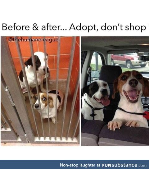 I agree