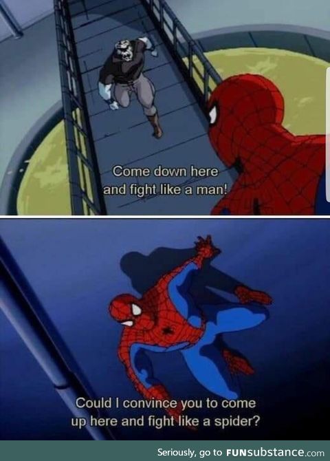 Spider-Man: TAS was something else