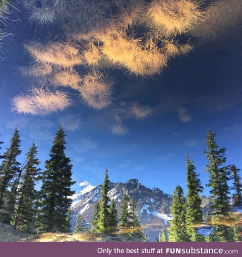 This photo is upside down
