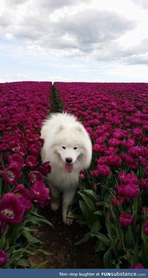 I found a picture of heaven, and I invite you to come over