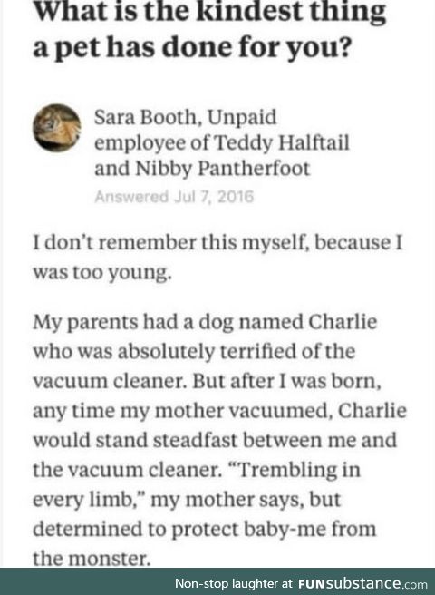 We don’t deserve dogs