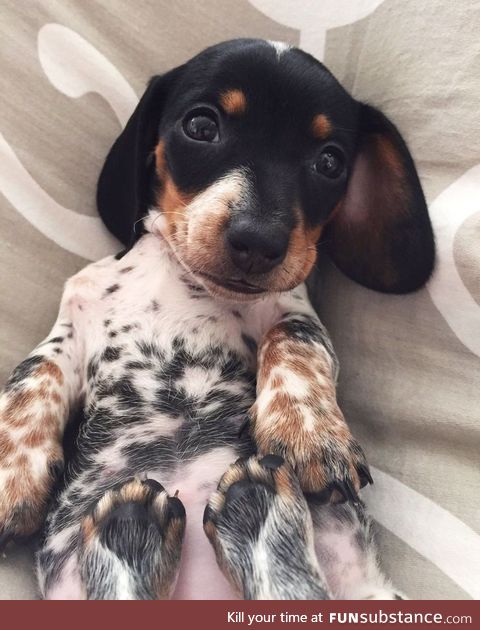 Feetsies
