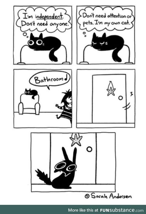 Cats