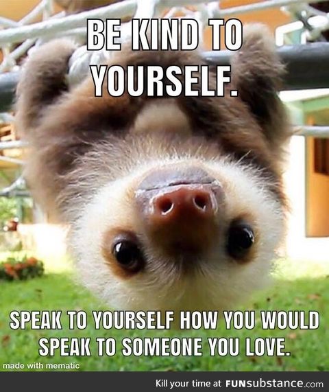 Wise words from a baby sloth