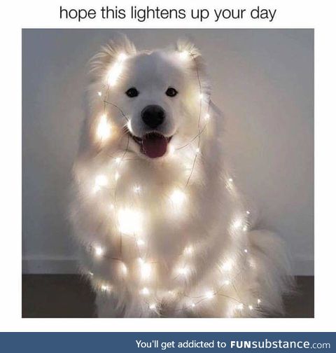 It's an angel!