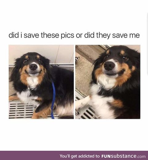 This made me smile