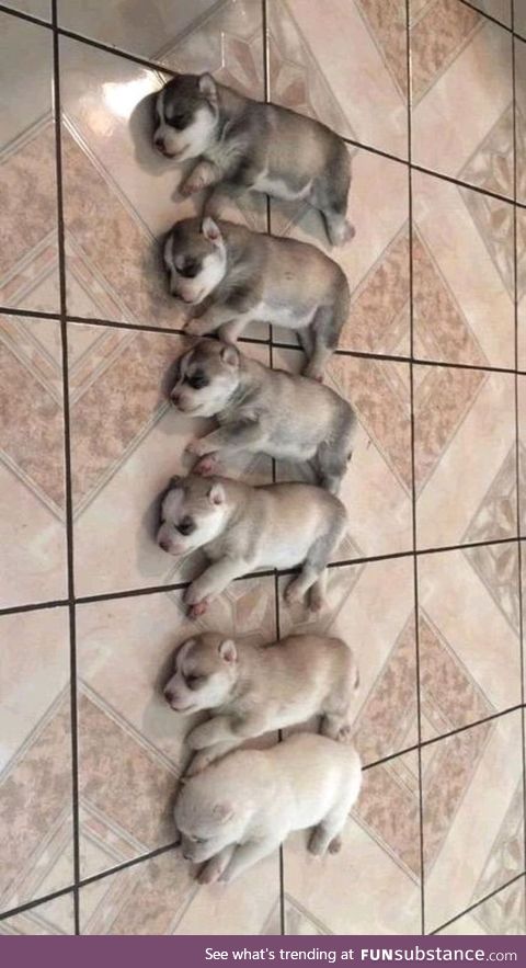 When the black ink runs out while giving birth