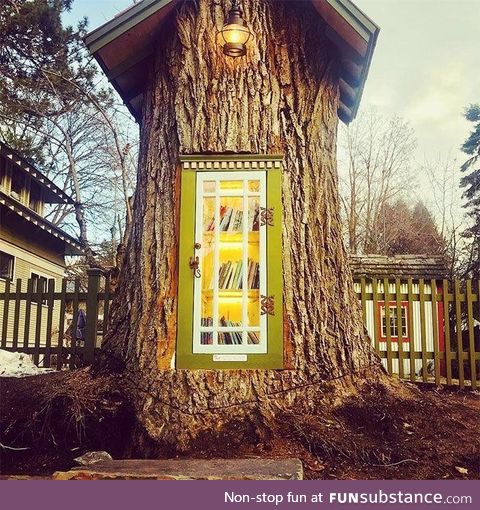 Librarian turns old growth tree stump into a neighborhood library