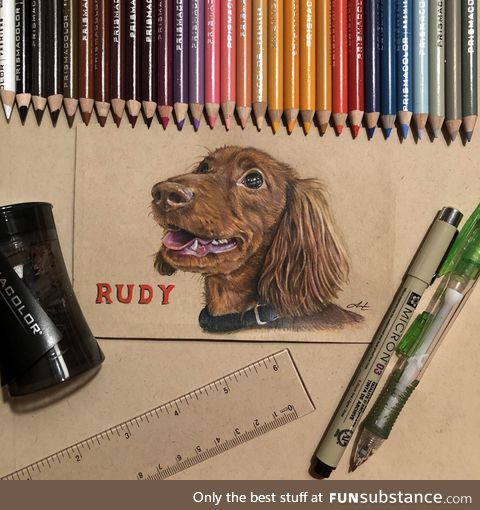 4 days + 30 colored pencils = 1 finished portrait of a very good boy