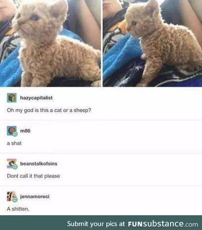 You gotta be _______ me!