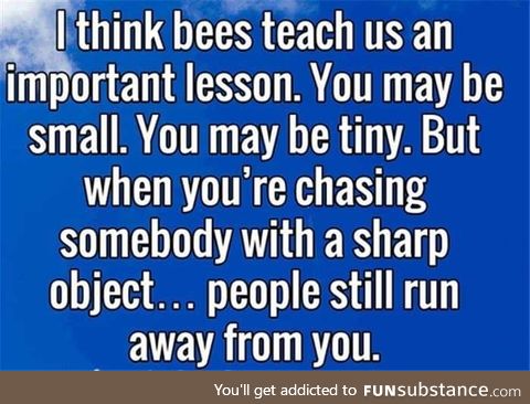 Bees