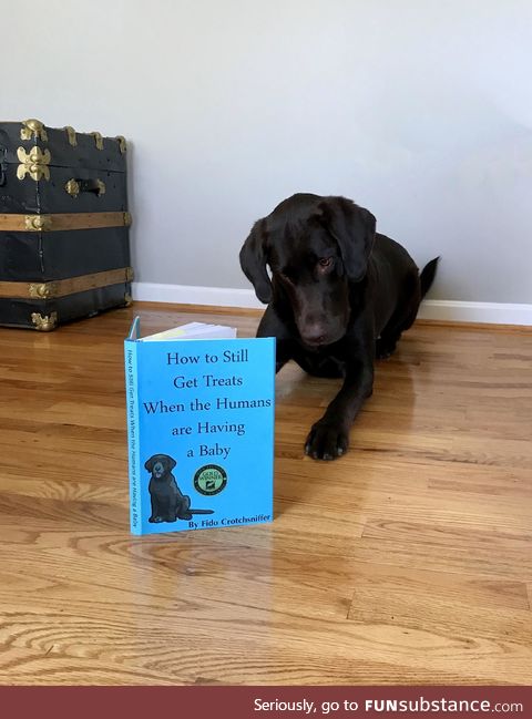 Dogs actually can't read