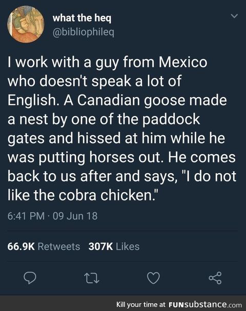 Look out for that cobra chicken!