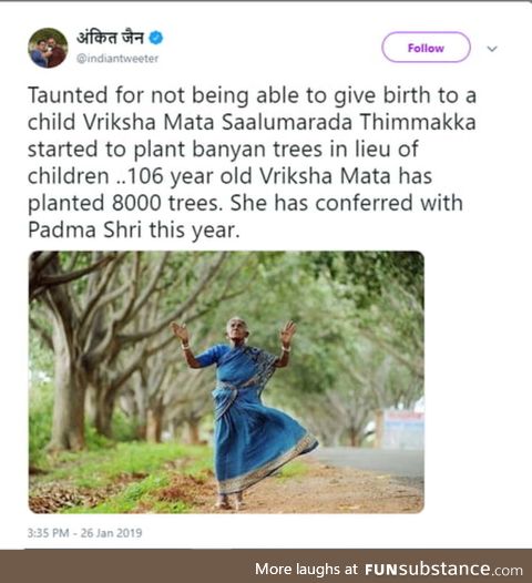 Tree lady