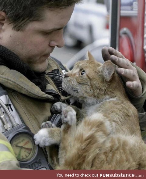 Cat with the Fireman that saved him