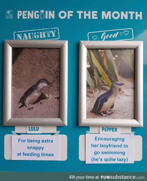 An aquarium in New Zealand has an "employee of the month" thing going on but