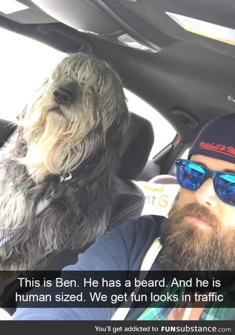 Say hello to Ben