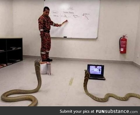 How to teach python