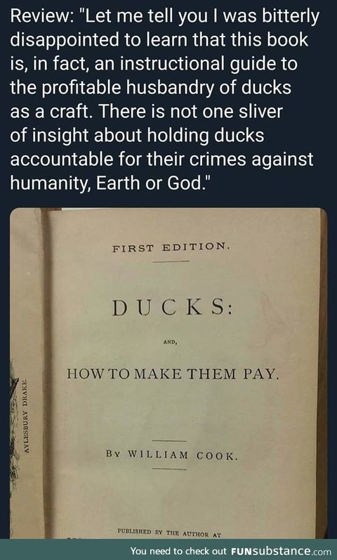 Ducks
