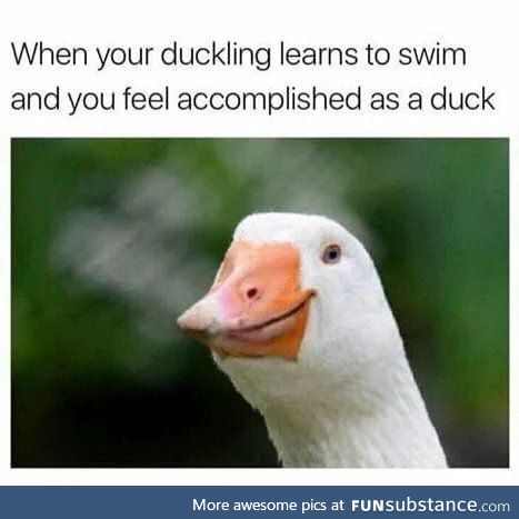 *approves in duck*