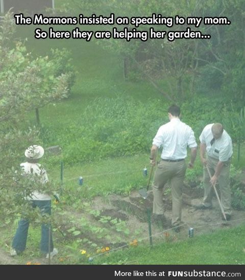 They were delighted