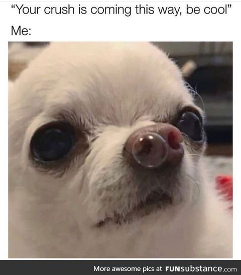 You've got a little something...