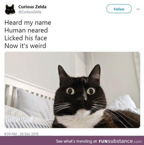 Ζelda