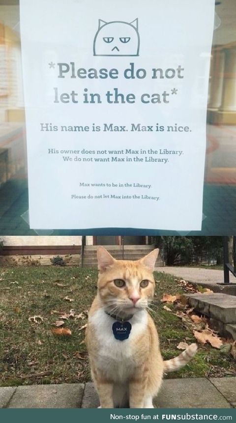 Sad max